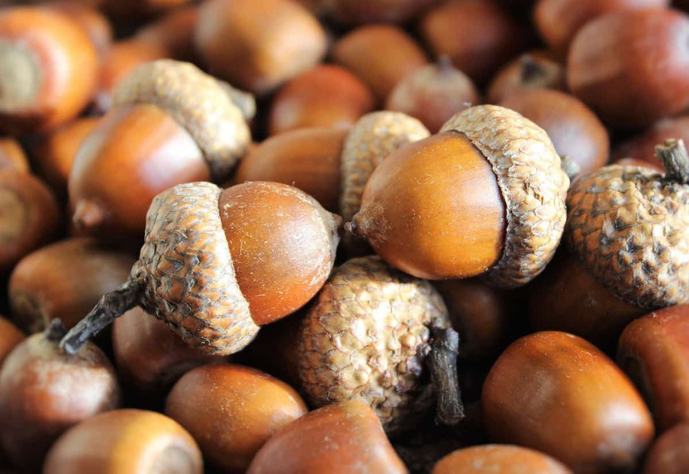 Nuts