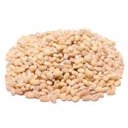 Grains