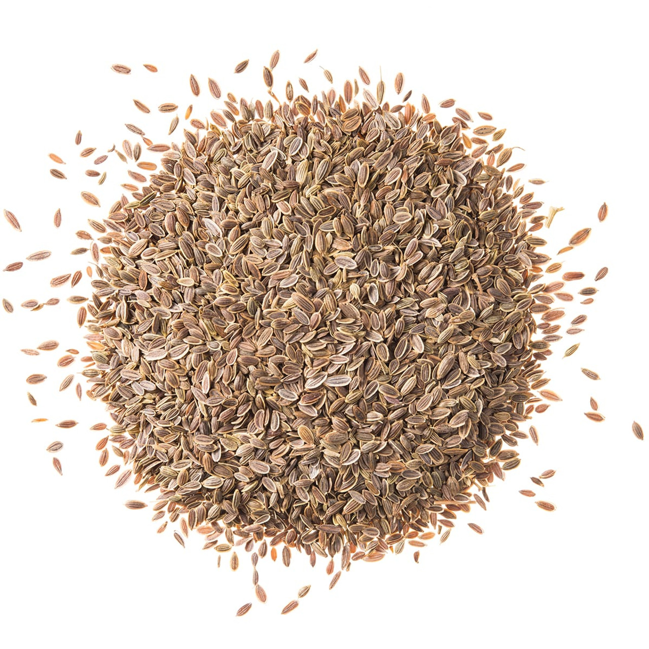Dill Seed Whole