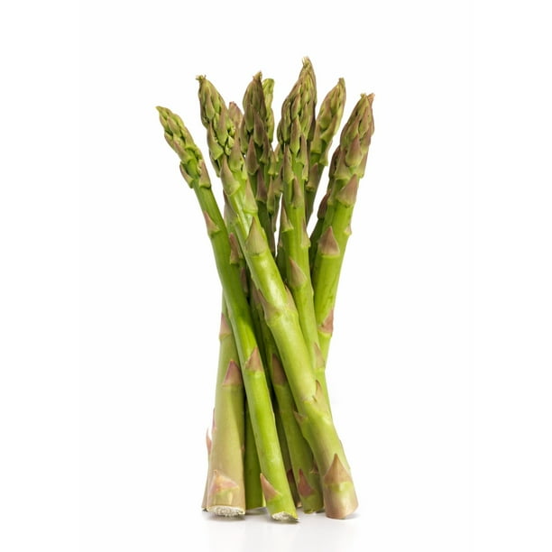 Freshly Harvested, Cut and Refrigerated Green Asparagus, Bunch
