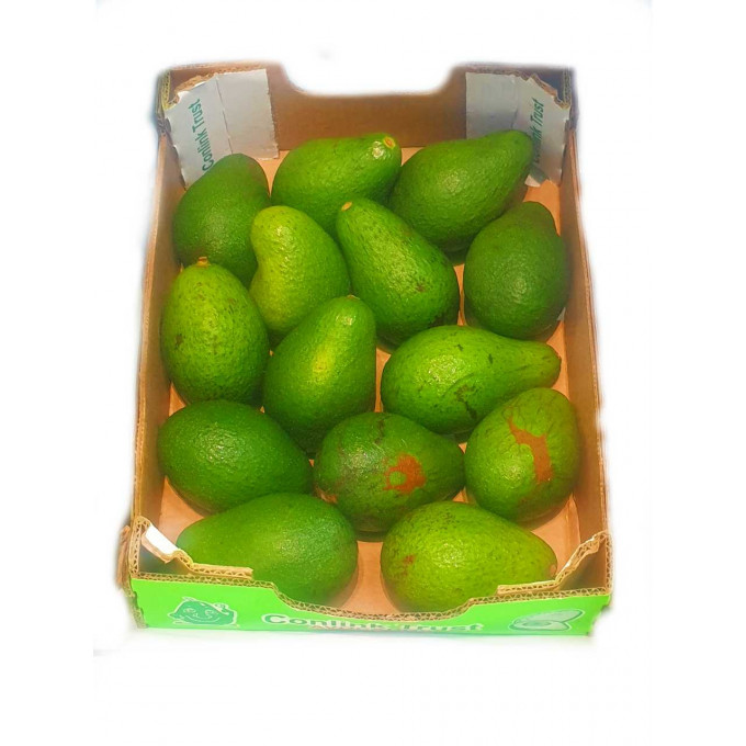 Fuerte Avos C16 tray
