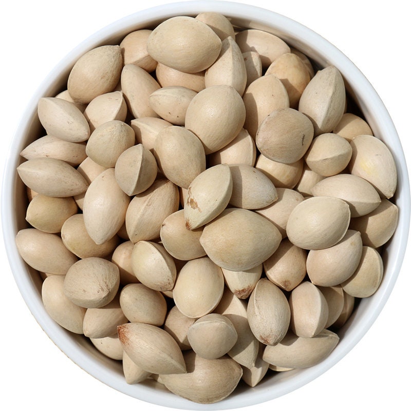 Gingko Nuts, Raw in Shell (Ginkgo biloba)