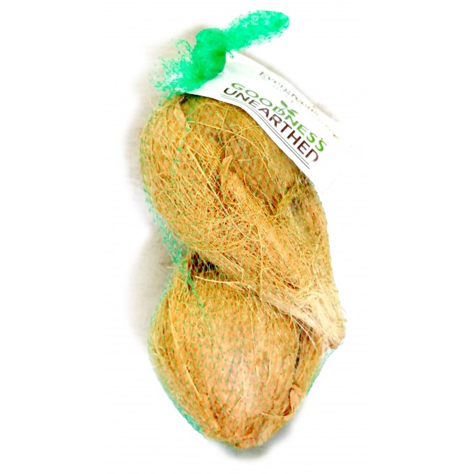 Island Coconuts Small x2 Sock