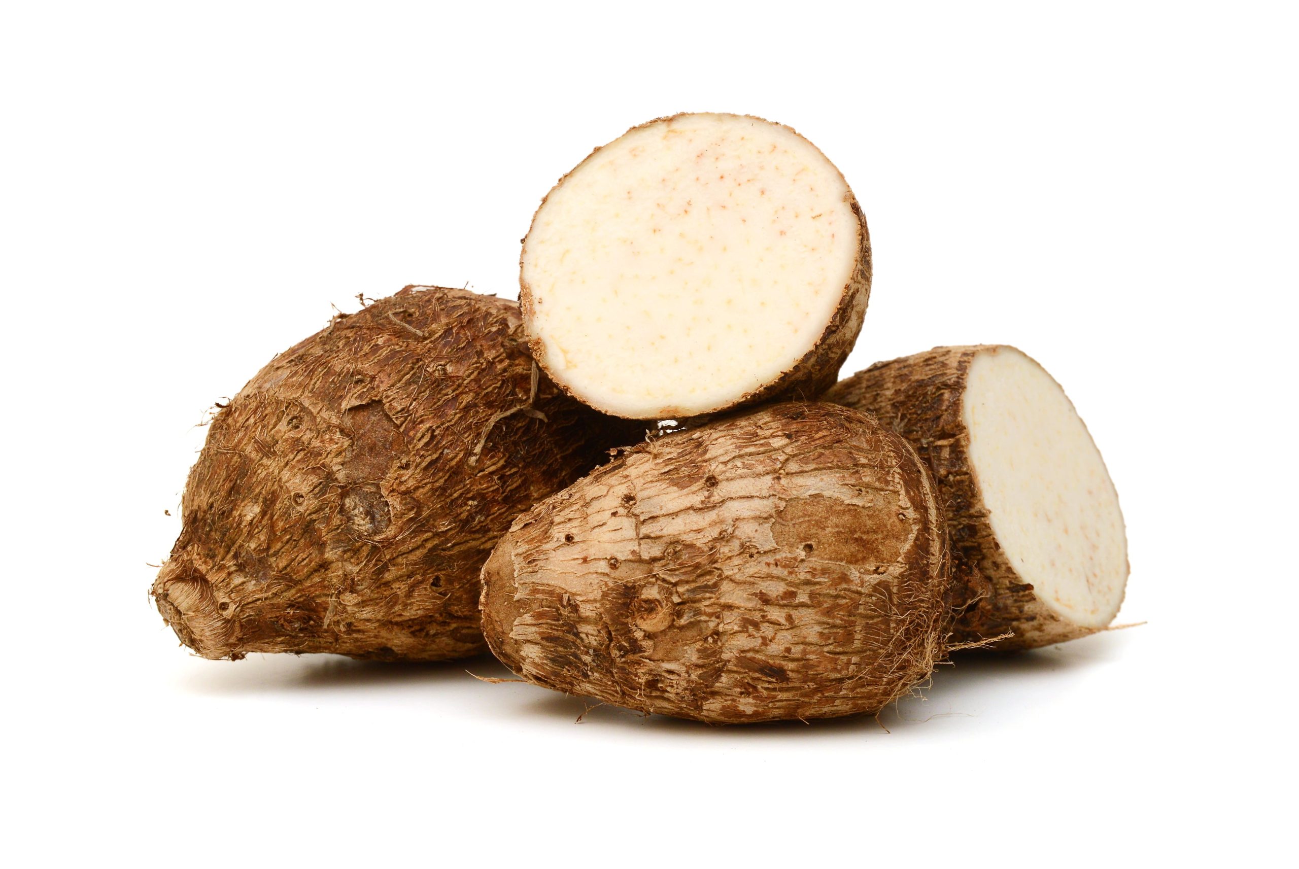 Malanga Root Whole Fresh, Each (Malanga)