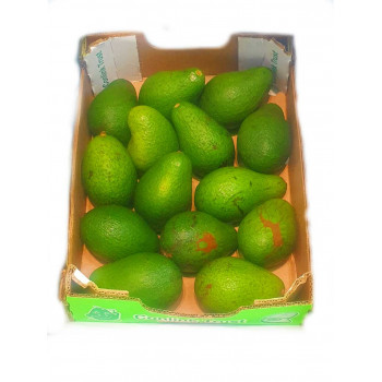 Pinkerton Creamy Avos x16